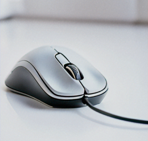 computer mouse